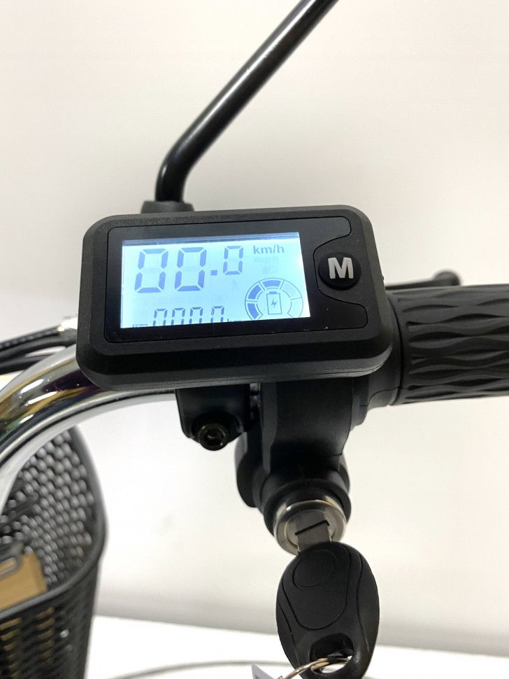 Велогибрид GreenCamel Транк 20 V8 (250W 60V)